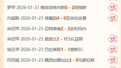 巴西利亚：足球王国首都的困境之谜？